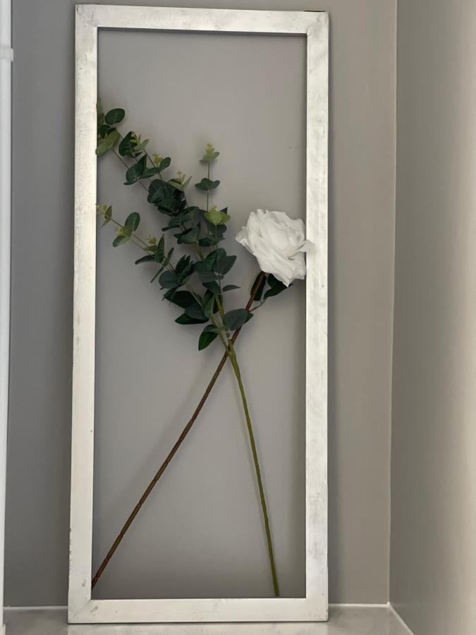 Grays Accommodation B&B المظهر الخارجي الصورة